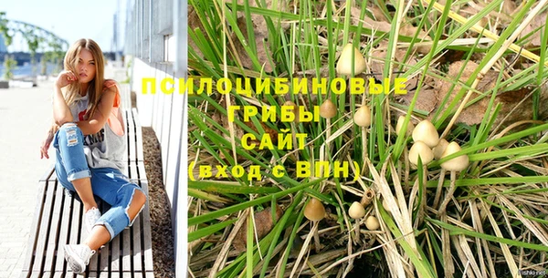 a pvp Белоозёрский