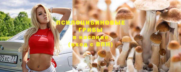 мескалин Балахна