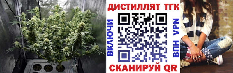 ТГК жижа  наркотики  кракен ONION  Гаврилов-Ям 