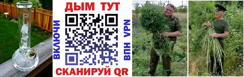 Каннабис план  Гаврилов-Ям 